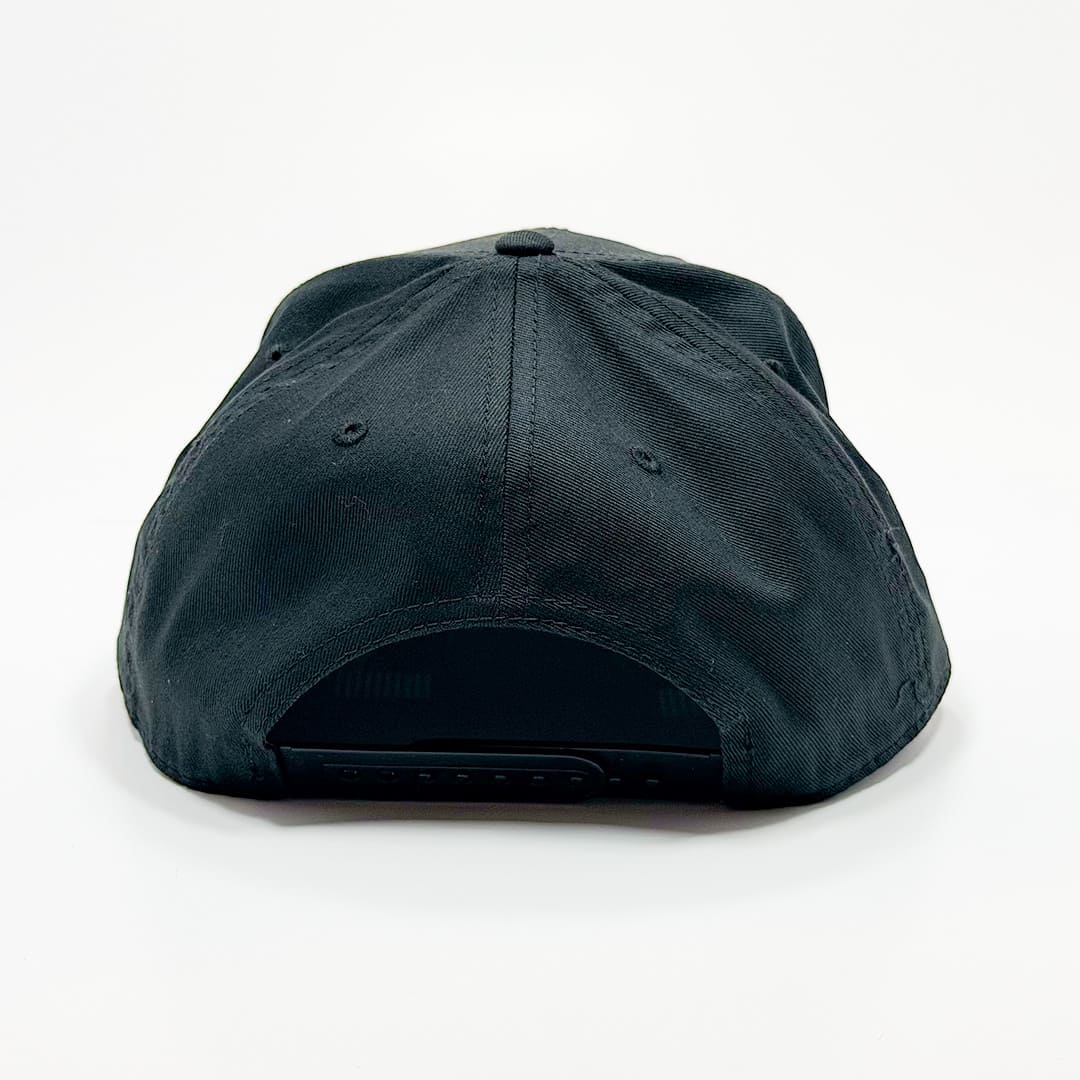 The (414) Snapback