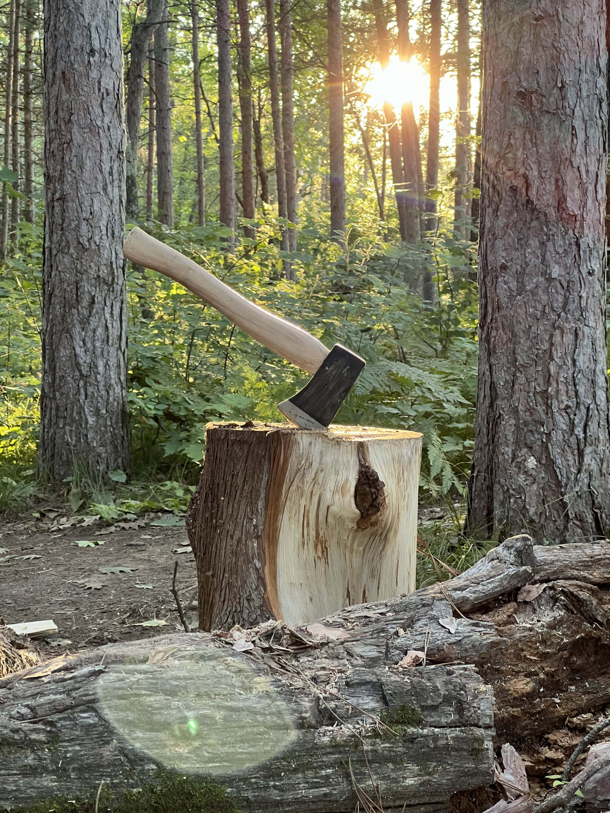 Axes on a log with a forest background during sunset