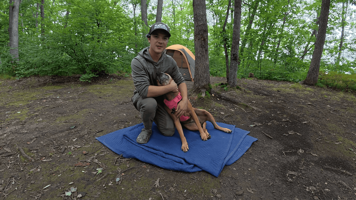 Person with a dog on a blue blanket in a forest setting with a tent in the background